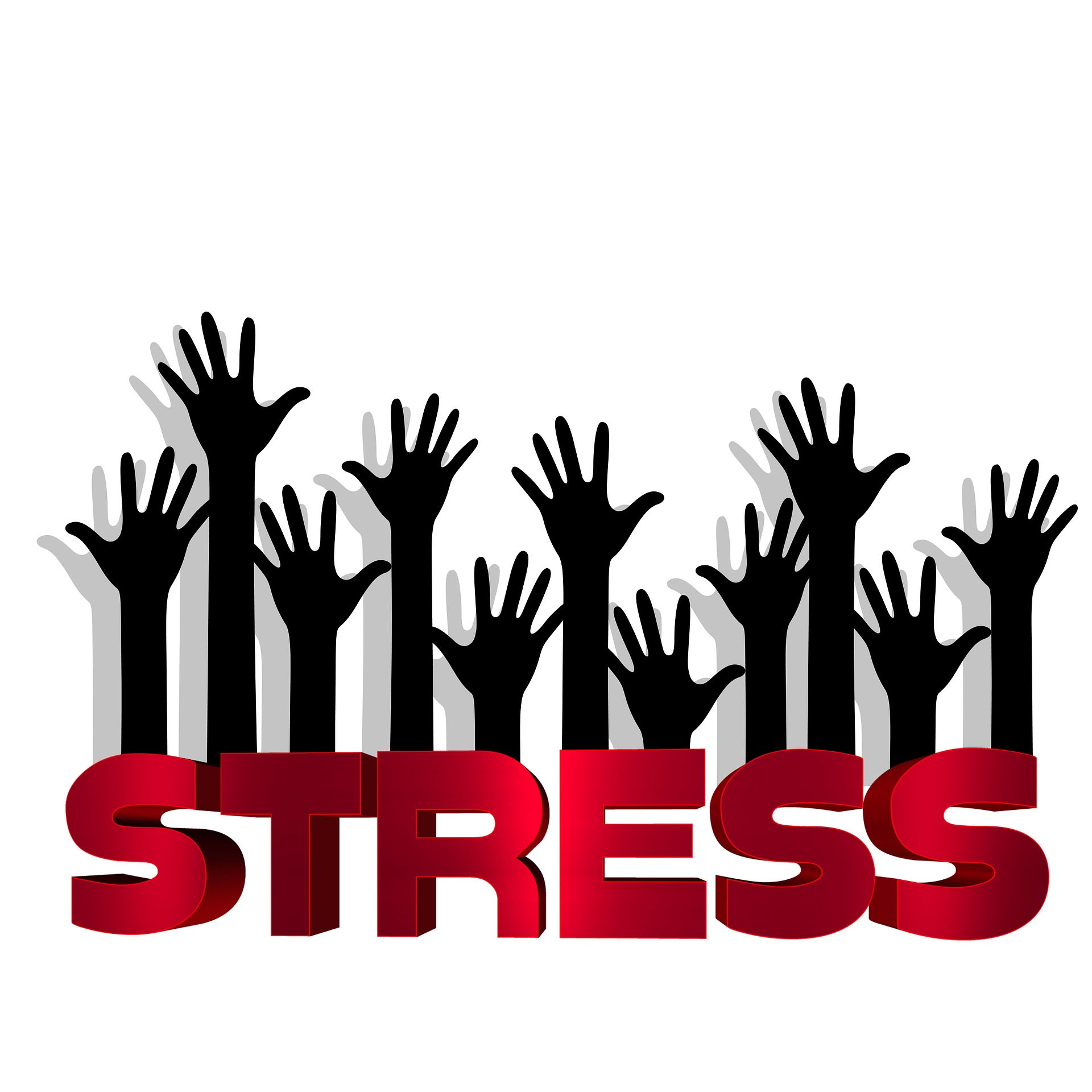 Gesunder und ungesunder Stress Eustress und Distress